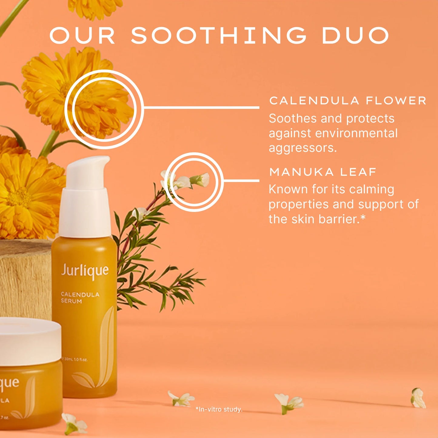 Calendula Serum