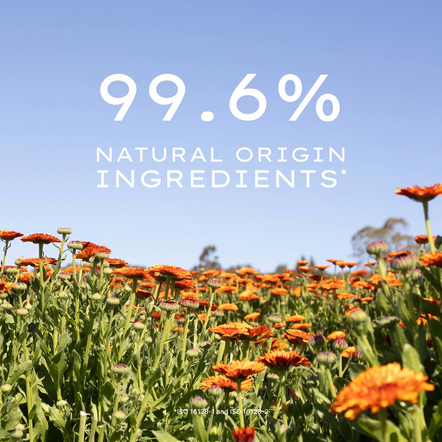 Calendula Serum