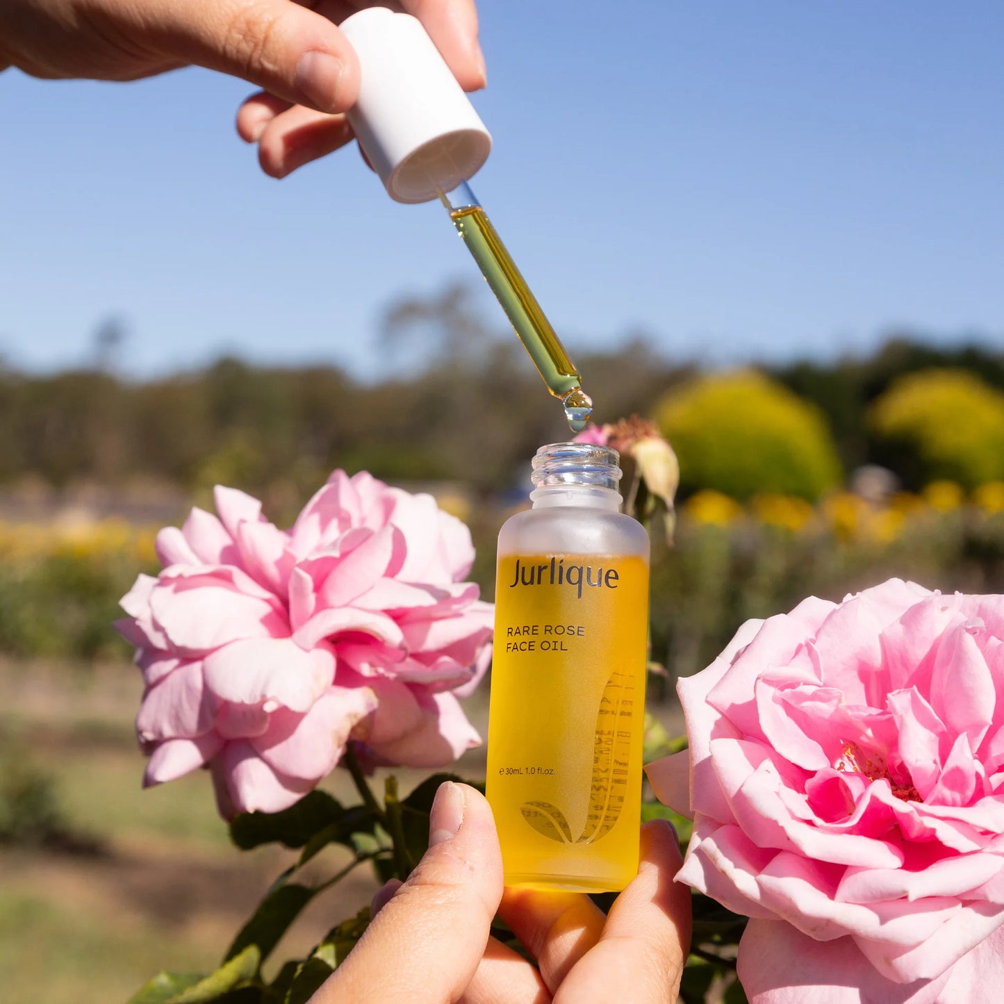 Rare Rose Face Oil