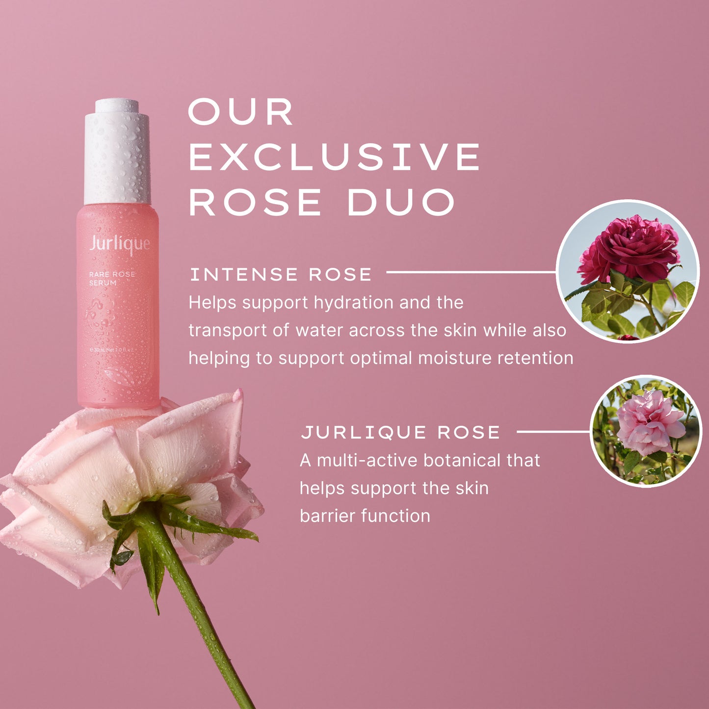 Rare Rose Serum